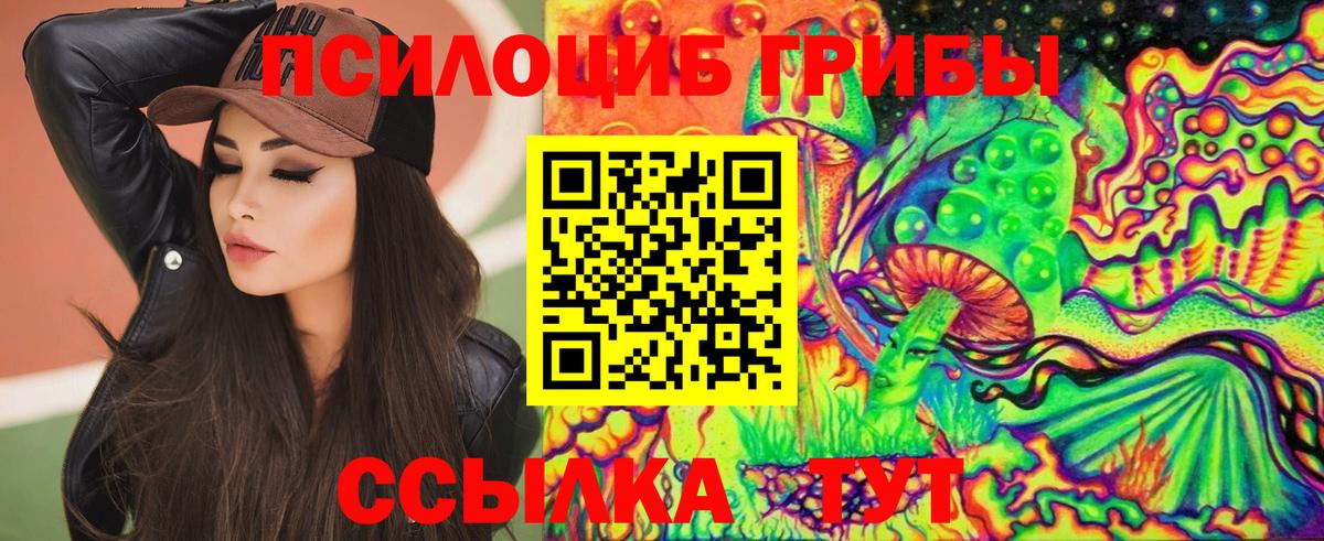 Саки  Псилоцибиновые грибы Psilocybine cubensis  Галлюциногенные грибы ЛСД  Вход с VPN 